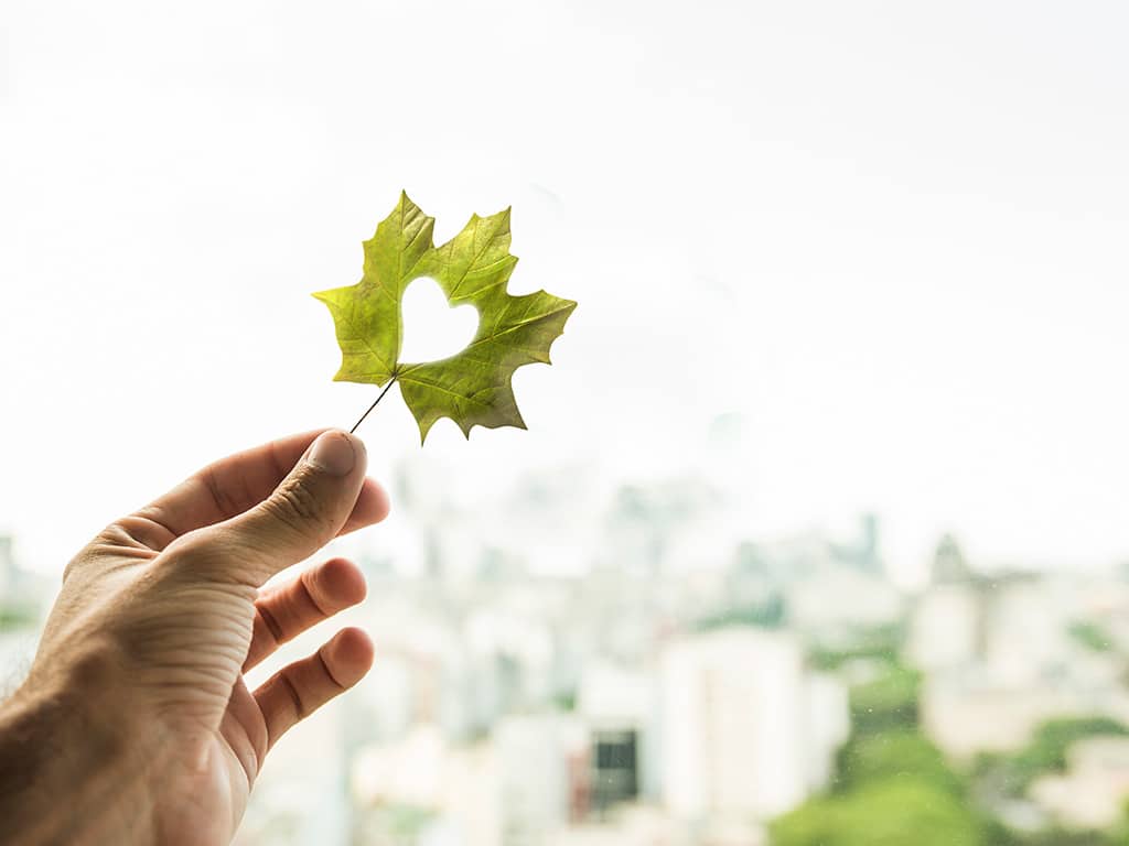 O mână care ține o frunză în fața unui peisaj urban, cu aerisire și ventilație.